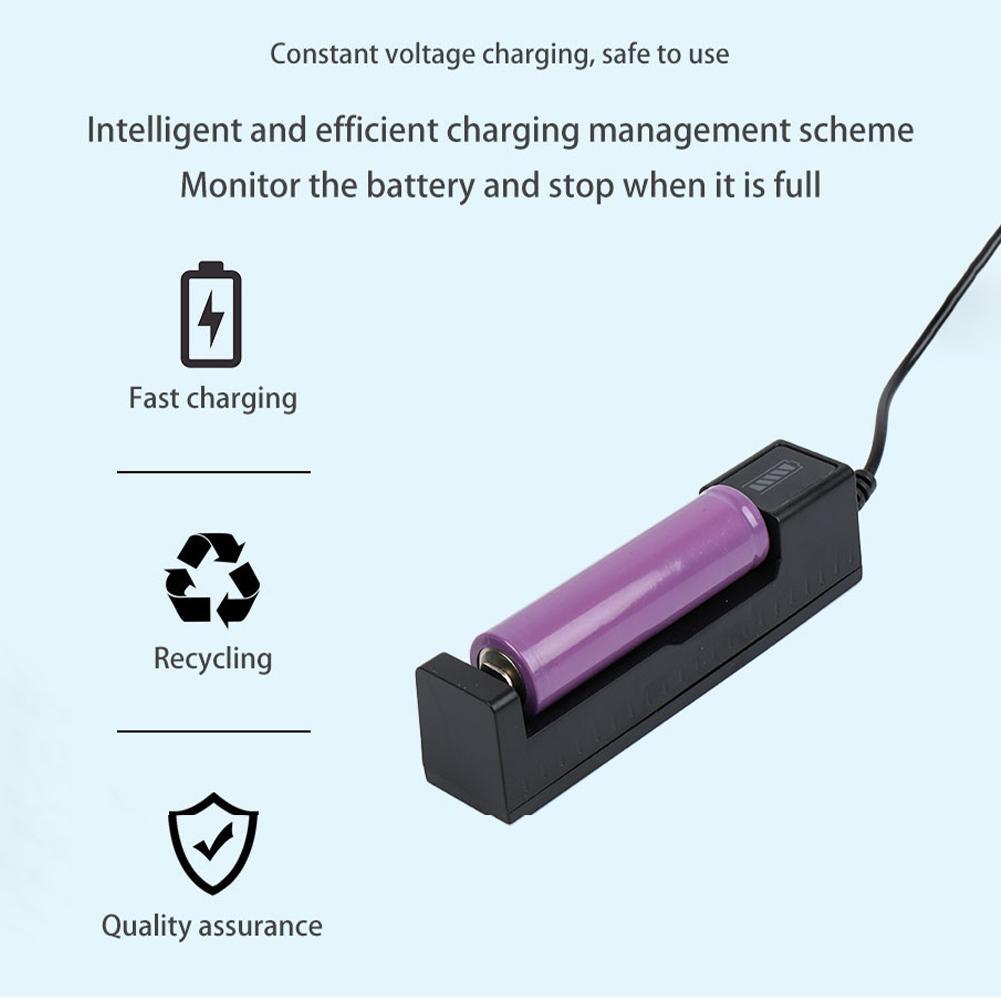 Universelles 18650 Batterielad – Balance Charger Rc Bewertung und Preis